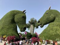 Dubai, Miracle Garden