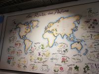 Die Düfte von Fragonard in der Welt