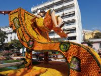 Der Zitronen-Skateboarder