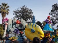 Die kleine Meerjungfrau