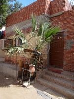 Assuan, dieser Bewohner hat es nicht weit zum Trinkwasser.