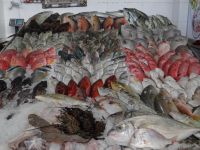 Hurgadha, Fischmarkt
