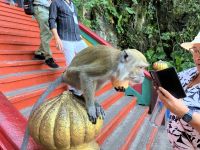 Auf der Treppe zu den Hoehlen