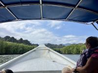 Tolle Natur im Mangrovenwald