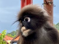 Lippenstift und Augenmakeup das erste mal verwendet !!!