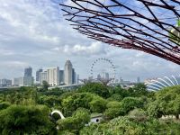 Die Stadt Singapur von den Superbaeumen aus