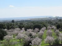 Blick Raixa Bucht von Palma