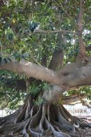 Buenos Aires-Eindrücke