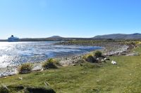 Falkland Inseln Nature Trek