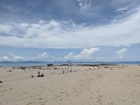 56.  Great Barrier Reaf