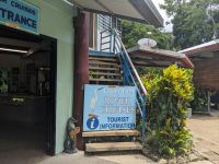 66. Daintree Nationalpark