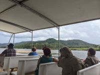 69. Daintree Nationalpark