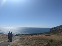 233. Dunedin