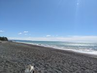 313. Napier