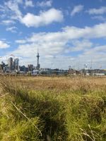 346. Auckland