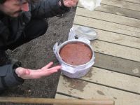 das Brot sieht gut aus