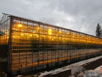 Gewächshaus Fridheimar