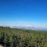 0303 Ausflug Teide Nationalpark