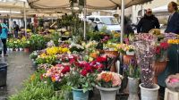 Blumenmarkt auf dem Piazza Campo de´ Fiori