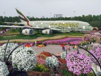 Miracle Garden