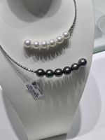 Resultat Perlenzucht