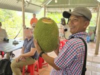 Riesige Jack Fruit