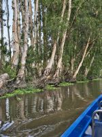 Naturreservat Tu Tra Su, Mangroven