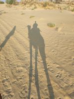 Auf Kamelsafari in der Thar-Wüste, Rajesthan - Indien