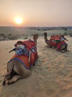 Auf Kamelsafari in der Thar-Wüste, Rajesthan - Indien