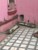 Rattentempel in Bikaner, Rajesthan - Indien