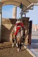 berittene Wache am Grab Mohammeds V.