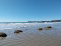 Moeraki Boulders, Neuseeland