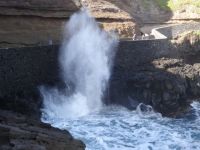 Spaziergang in Puerto da Cruz