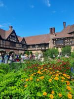 Blumenpracht im Schloss Cecilienhof
