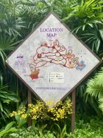 Botanischer Garten, Singapur