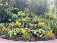 Botanischer Garten, Singapur