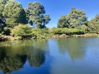 Emu Valley Garden, Burnie