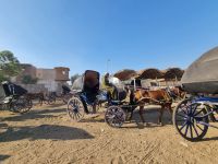 Kutschfahrt durch Edfu