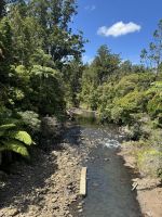 Waipoua