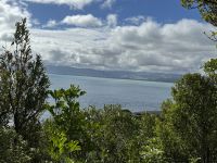 Kapiti Island 