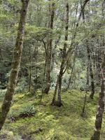 Klepper Track
