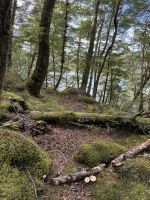 Klepper Track 