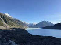 Tasman See 