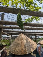 110. Rundgang über die Anlage der Bauernfamilie