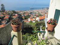 Blick auf Funchal