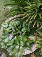 329. Mittagessen Rückweg Saigon