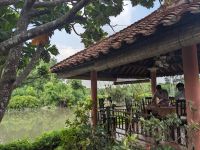 330. Mittagessen Rückweg Saigon