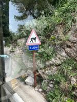 Gibraltar, Achtung, Affen!