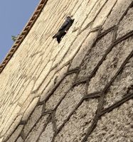 Spanien, Málaga, Impressionen