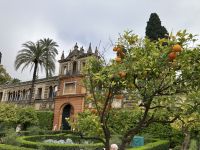 Spanien, Sevilla, Real Alcázar - überal duftet as nach Pomeranzen